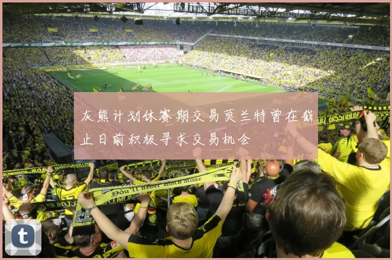 灰熊计划休赛期交易莫兰特曾在截止日前积极寻求交易机会